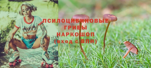 кокс Пересвет