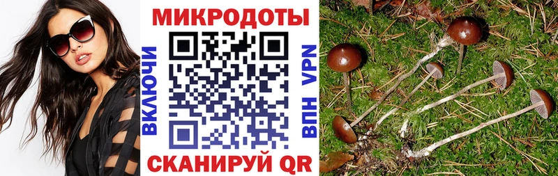 Галлюциногенные грибы Magic Shrooms  Спас-Клепики 